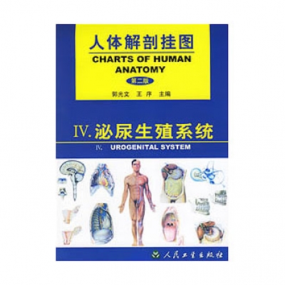 《人體解剖掛圖》-泌尿生殖系統掛圖（18張）