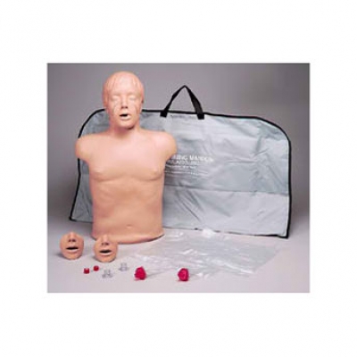 Brad CPR 訓練模擬人
